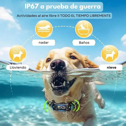 Collar de Adiestramiento Inteligente Anti Ladridos Resistente al Agua