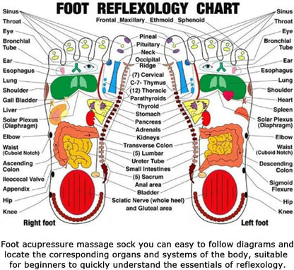 CALCETINES REFLEXOLOGIA 1 PAR ACUPRESIÓN